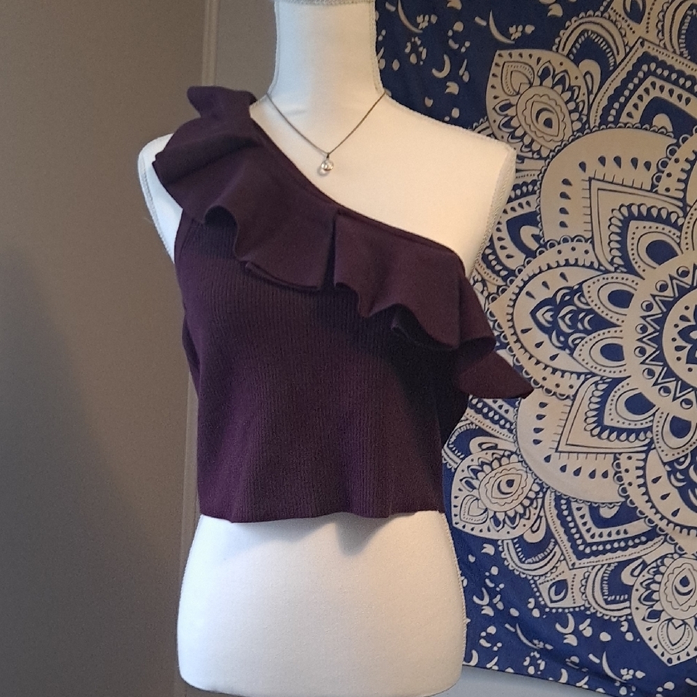Elegant Purple One-Shoulder Ruffle Top